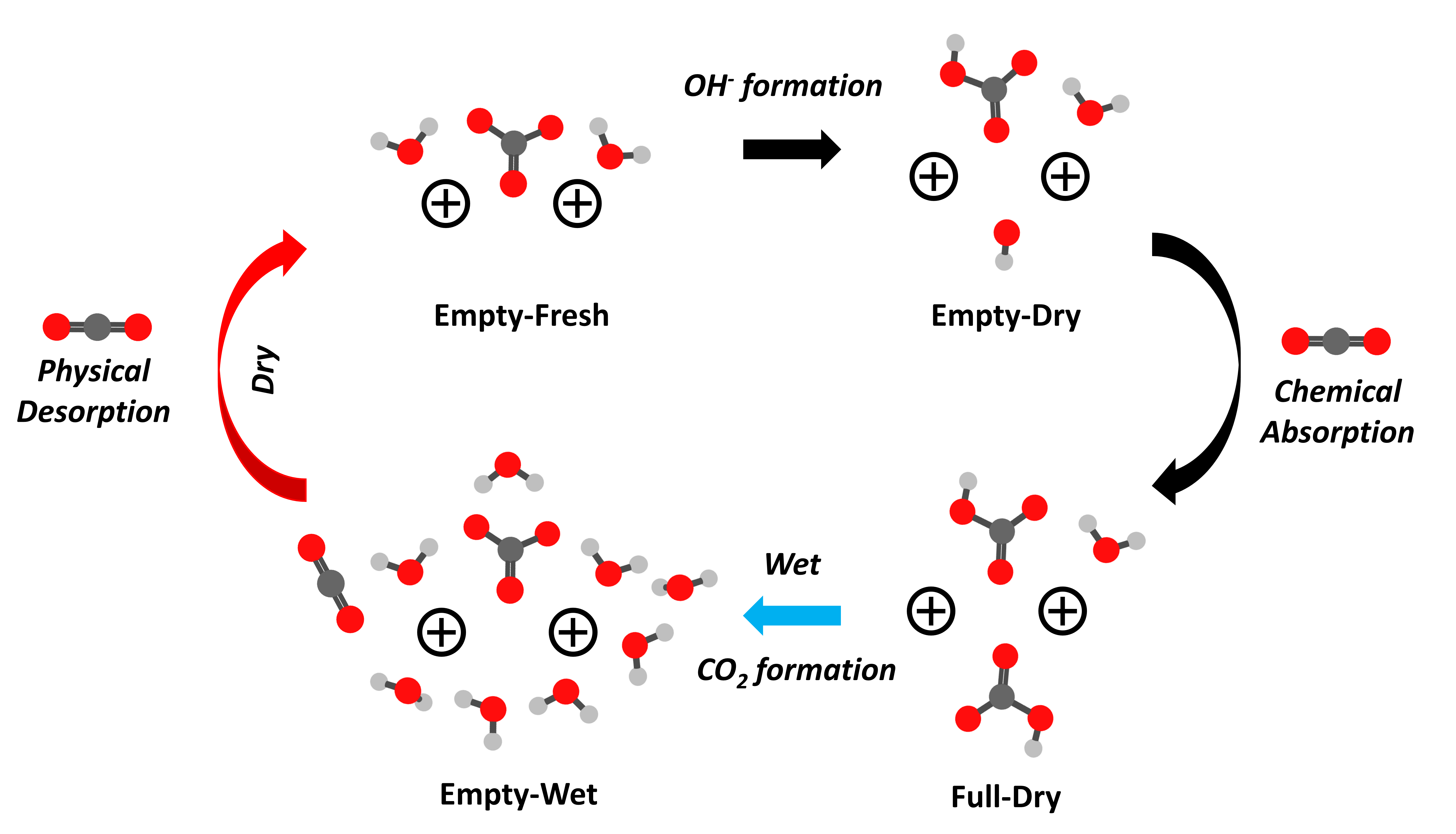 hydrolysis.png